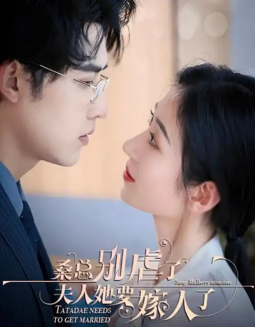 无声证人 悬疑剧全集